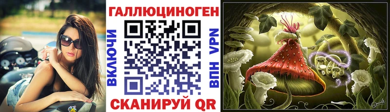Галлюциногенные грибы Psilocybine cubensis  Невинномысск 