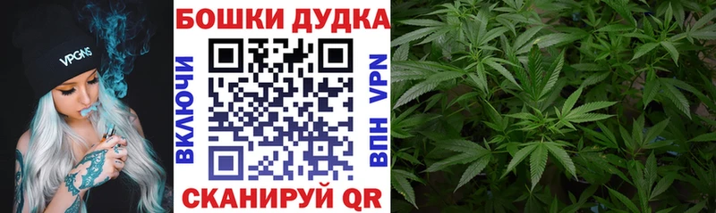 Бошки марихуана Bruce Banner  KRAKEN маркетплейс  Невинномысск 